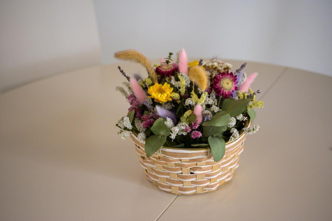 Dependance Ludovica Bed & Breakfast แตร์โมลิ ภายนอก รูปภาพ