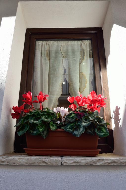 Dependance Ludovica Bed & Breakfast แตร์โมลิ ภายนอก รูปภาพ